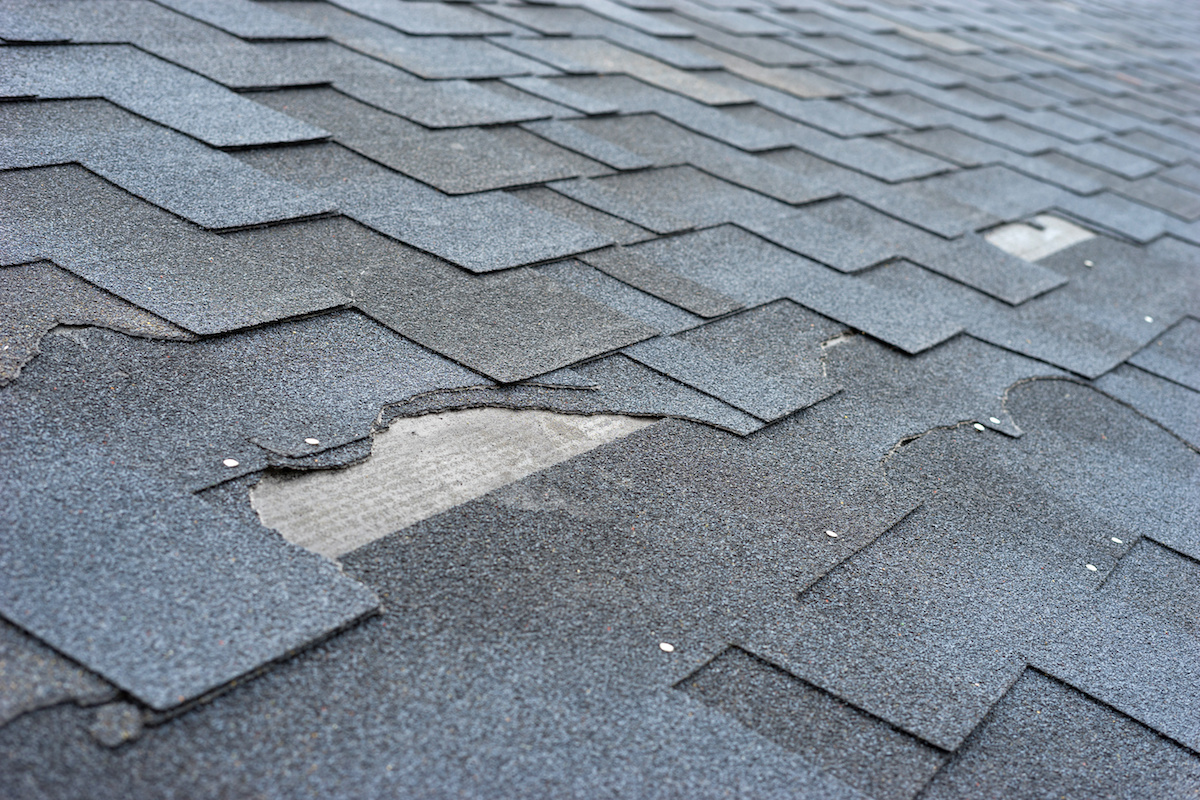 Hail & Storm Damage